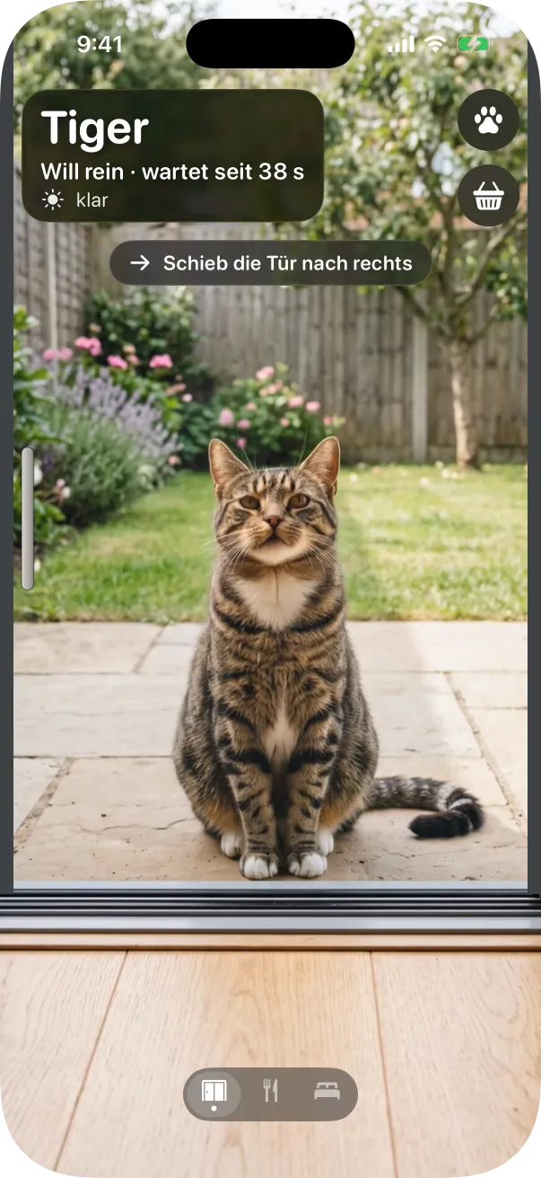Der Foto-Look: ein getigerter Kater sitzt vor der Glastür