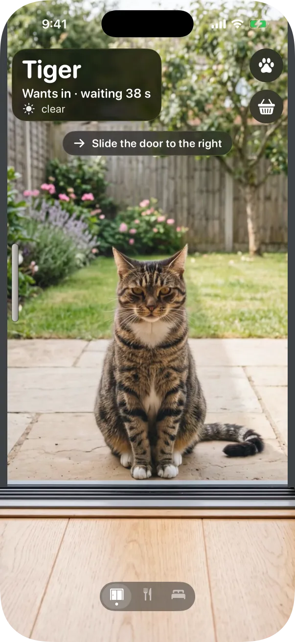 The photo look: a tabby cat sitting outside the glass door