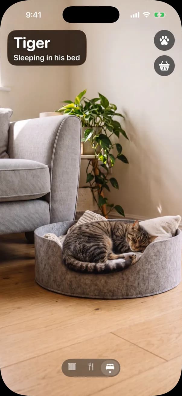 Asleep in his bed