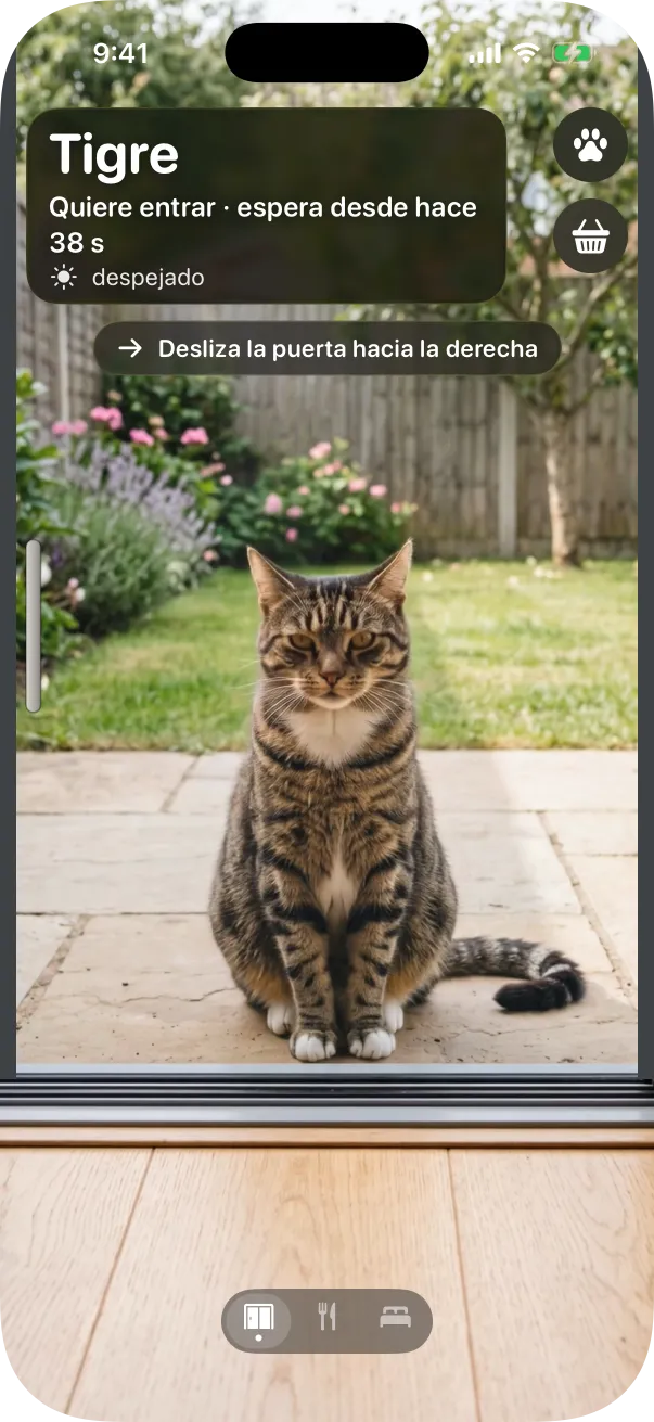 El estilo Foto: un gato atigrado sentado al otro lado de la puerta de cristal