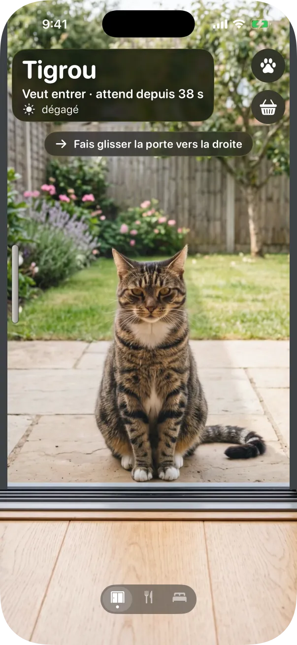 Le style Photo : un chat tigré assis derrière la porte vitrée