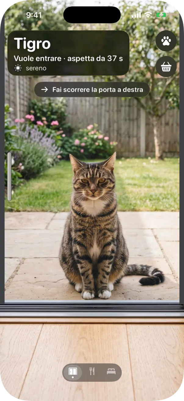 Lo stile Foto: un gatto tigrato seduto dietro la porta a vetri