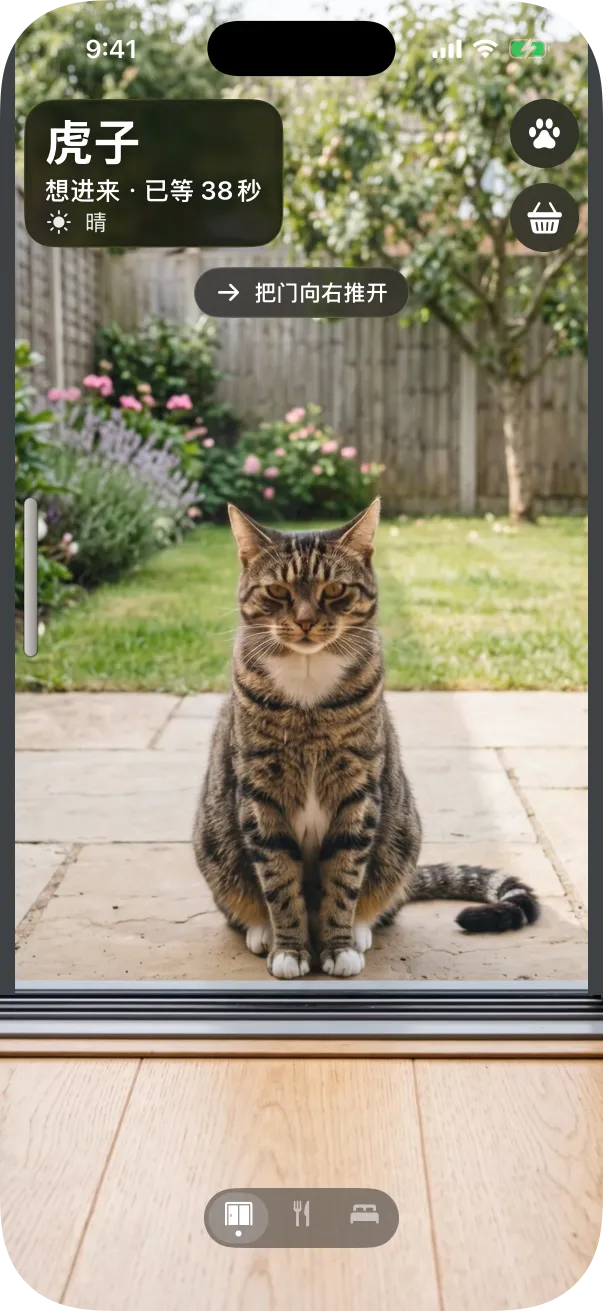 照片风格:一只虎斑猫坐在玻璃门外